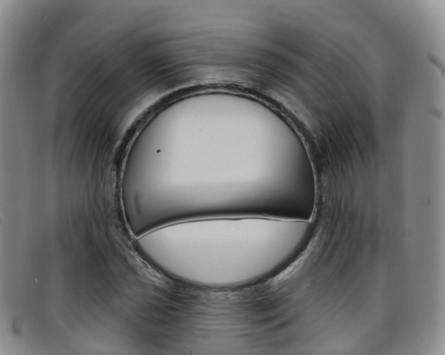 X0000096721021200802051055