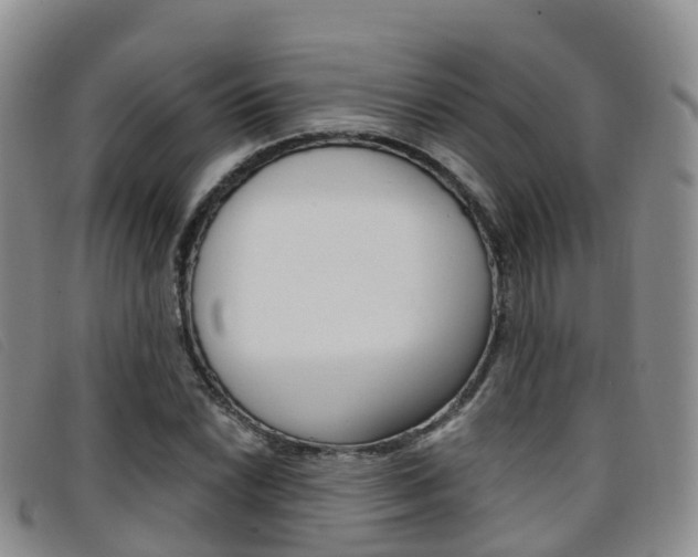 X0000096721022200802051055