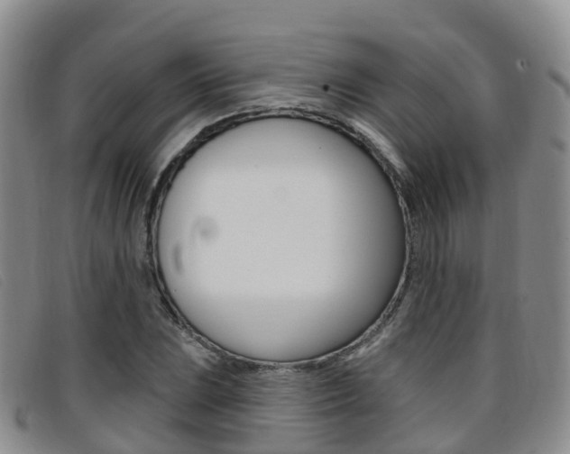 X0000096721023200802051055