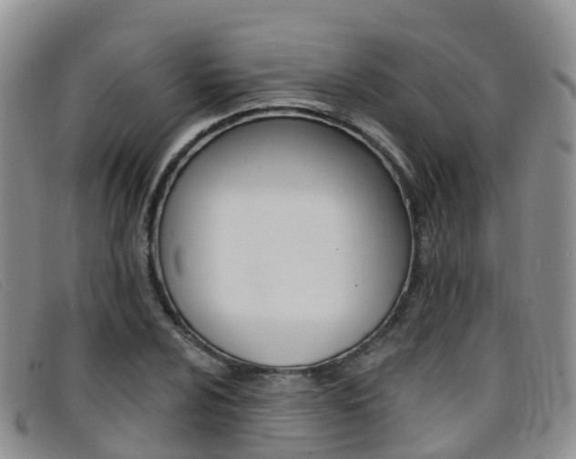 X0000096721024200802051055
