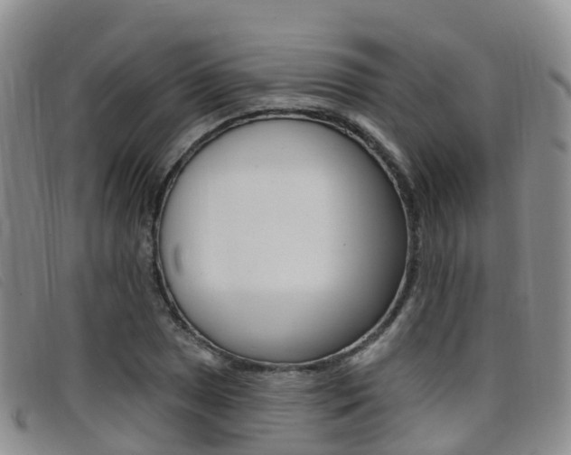 X0000096721025200802051055