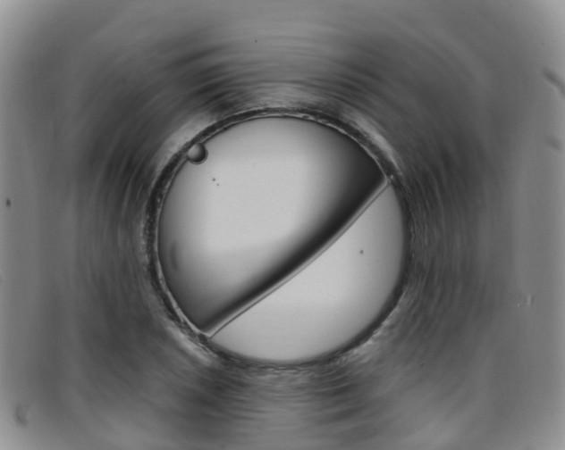 X0000096721026200802051055