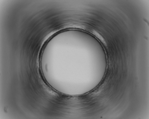 X0000096721028200802051055