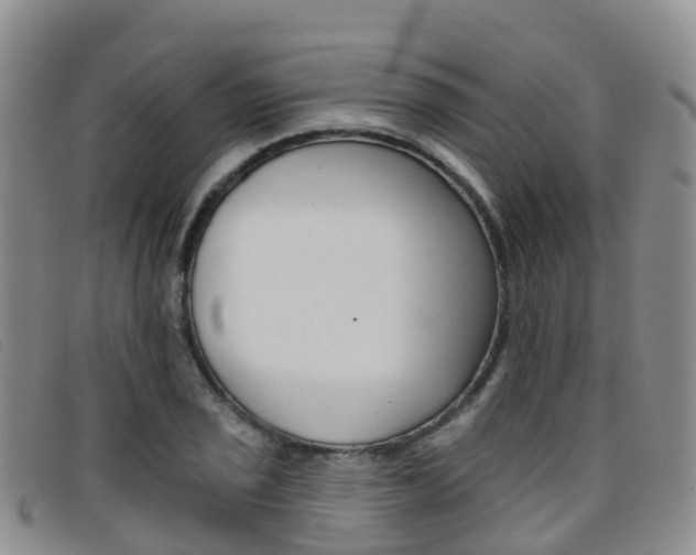 X0000096721029200802051055