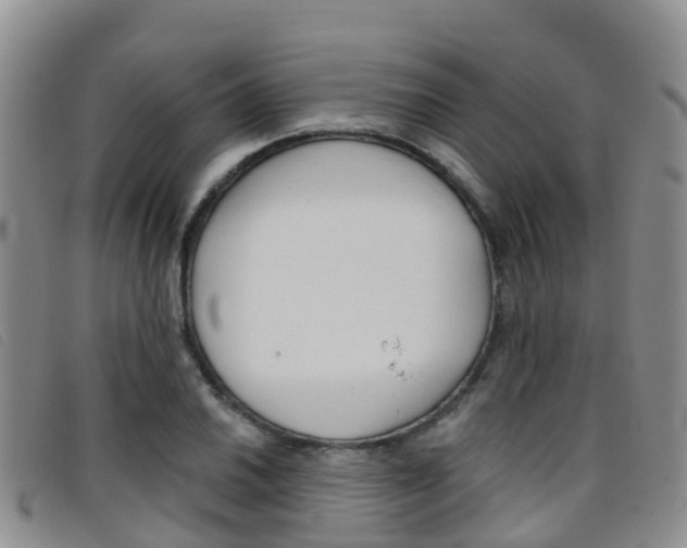 X0000096721030200802051055