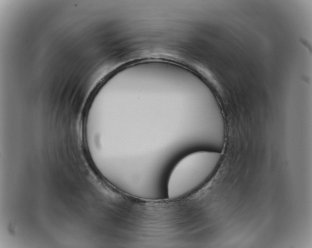 X0000096721032200802051056
