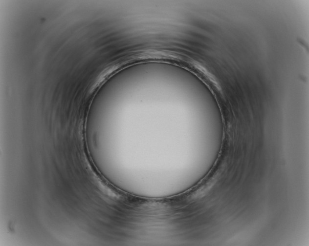 X0000096721033200802051056