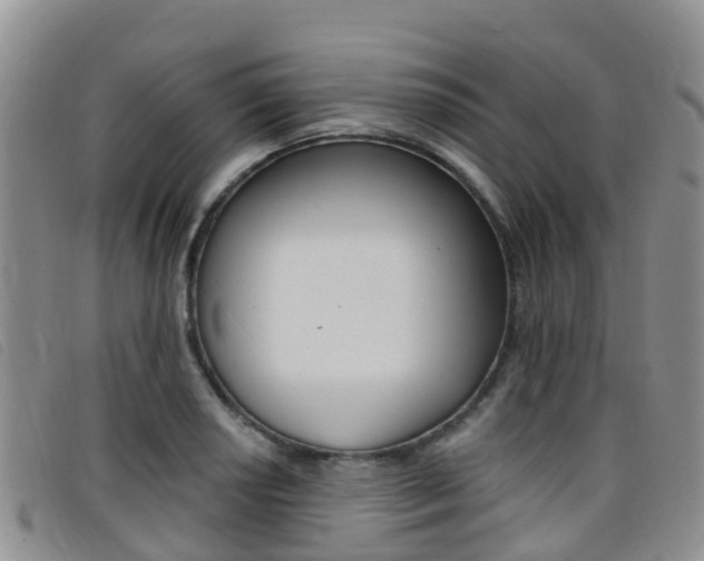 X0000096721034200802051056