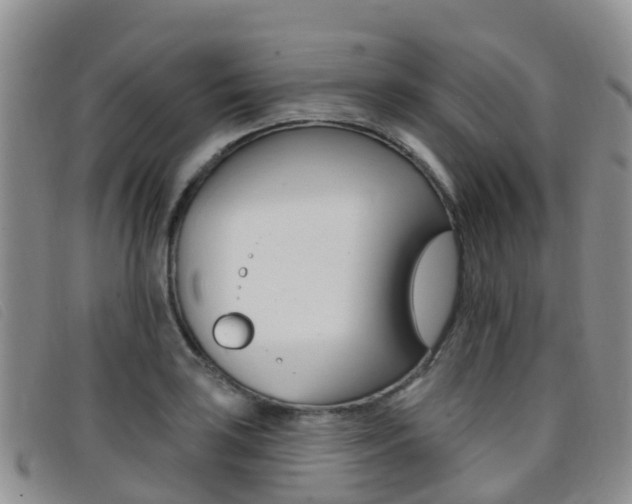 X0000096721035200802051056