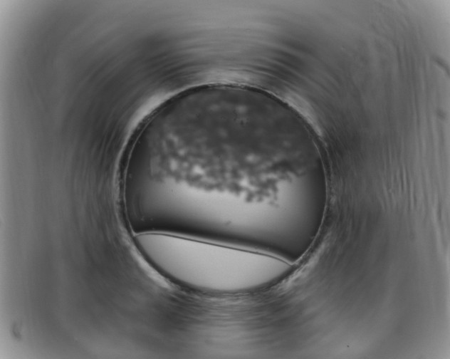 X0000096721037200802051056