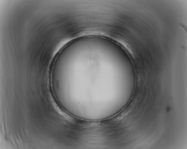 X0000096721038200802051056
