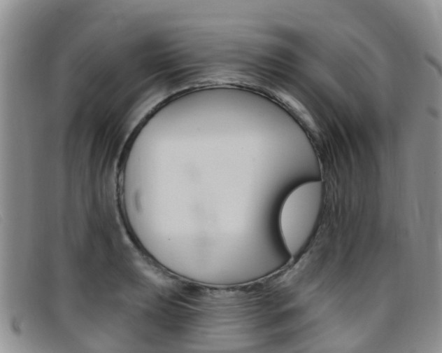 X0000096721039200802051056