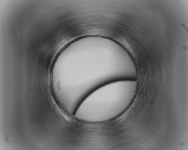 X0000096721040200802051056