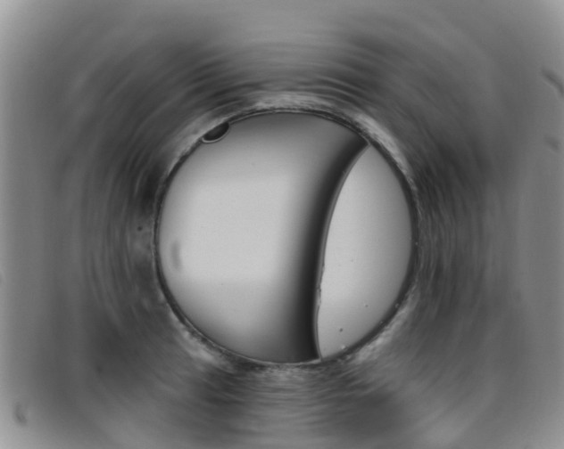 X0000096721041200802051056
