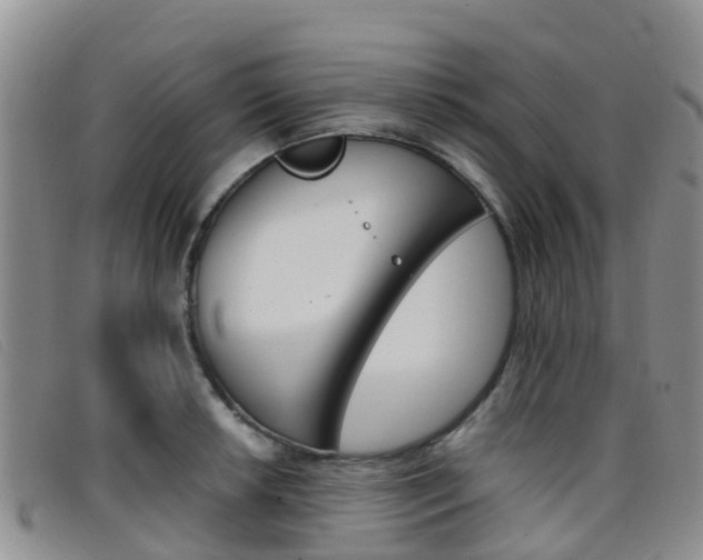 X0000096721042200802051056