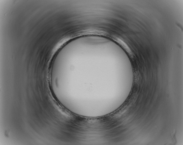 X0000096721043200802051056