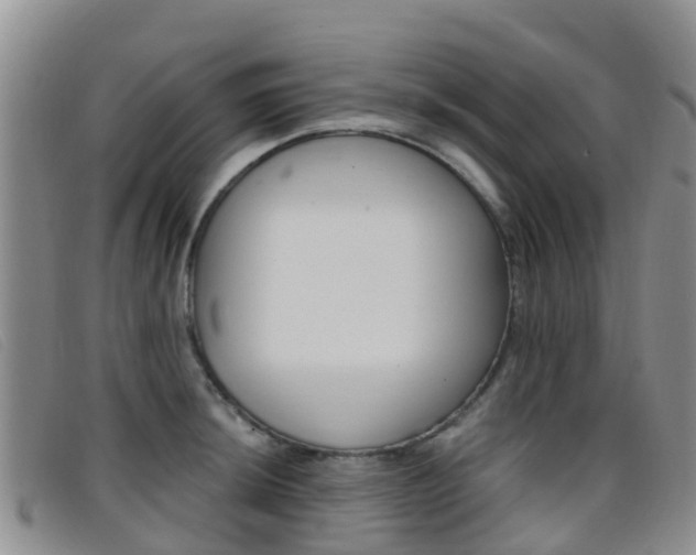 X0000096721044200802051056