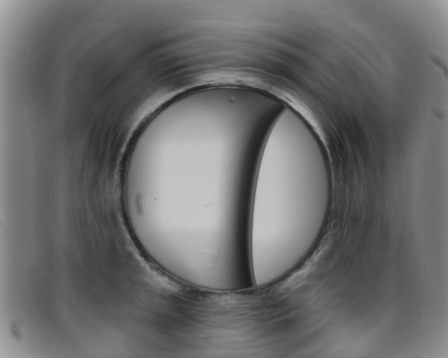 X0000096721045200802051056