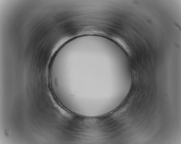 X0000096721046200802051056