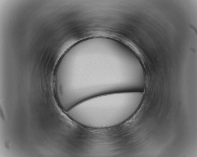 X0000096721048200802051056