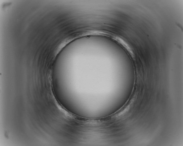 X0000096721049200802051056