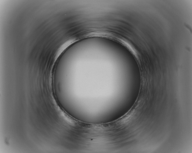 X0000096721050200802051056