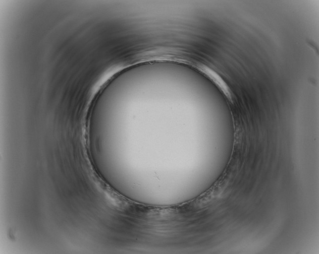 X0000096721051200802051056