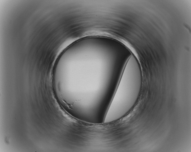 X0000096721053200802051056