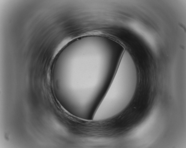 X0000096721054200802051056
