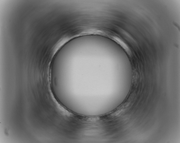 X0000096721055200802051056