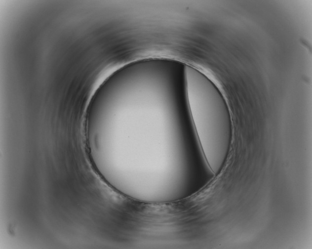 X0000096721056200802051056