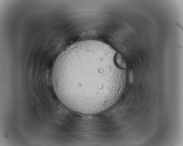 X0000096721059200802051055
