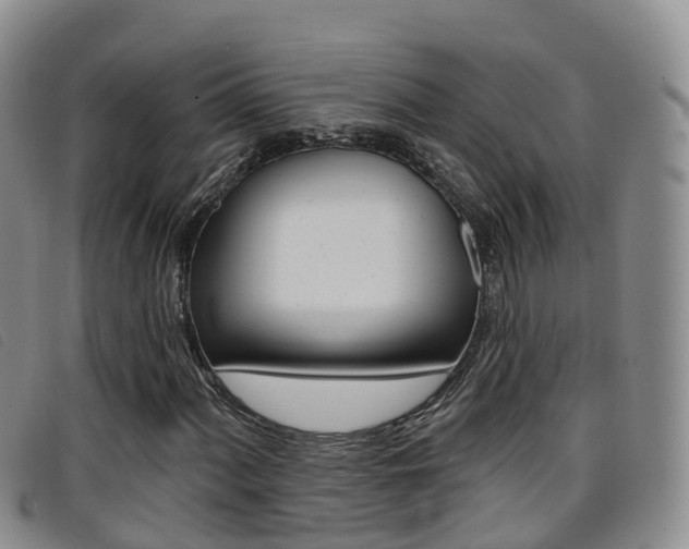 X0000096721060200802051055