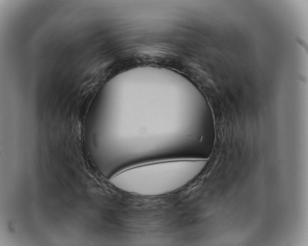 X0000096721061200802051055