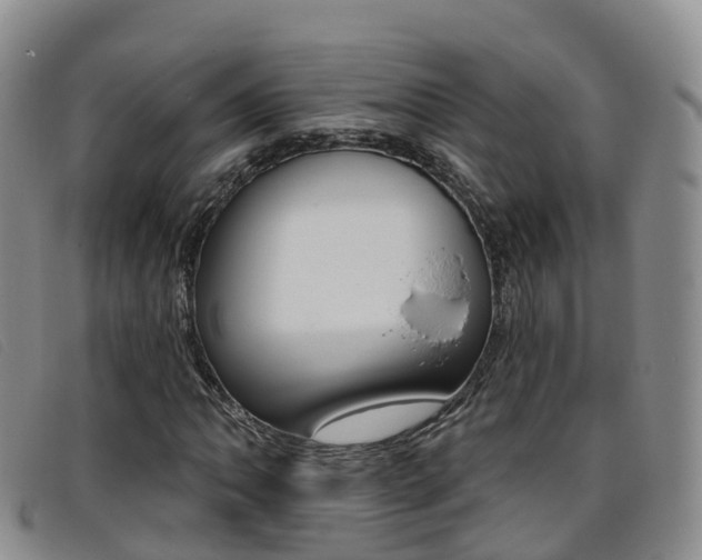 X0000096721062200802051055