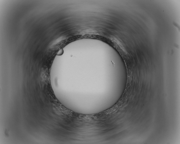 X0000096721063200802051055