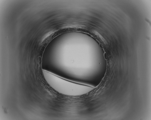 X0000096721064200802051055