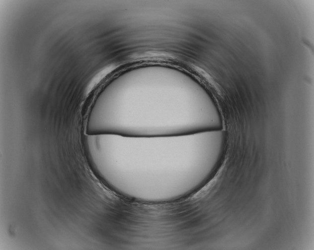 X0000096721066200802051055
