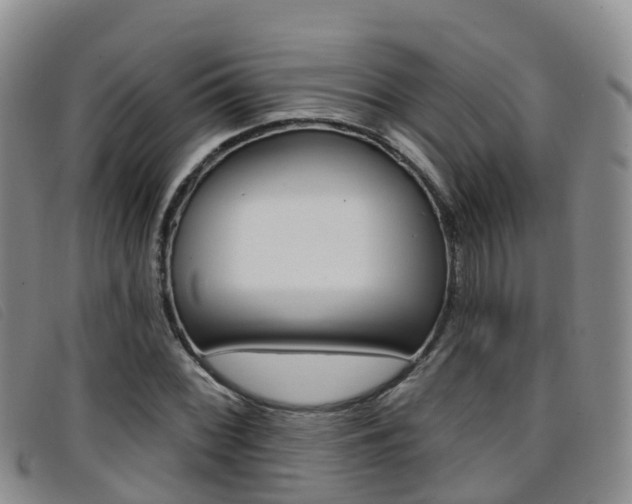 X0000096721068200802051055