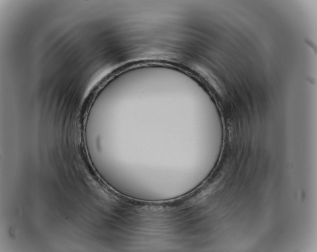 X0000096721069200802051055