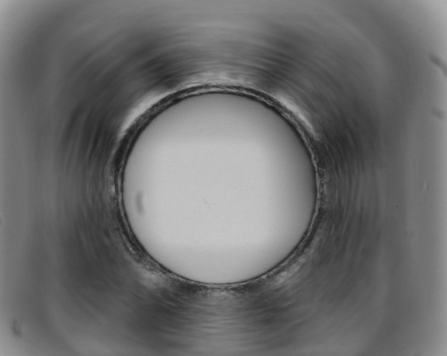 X0000096721070200802051055