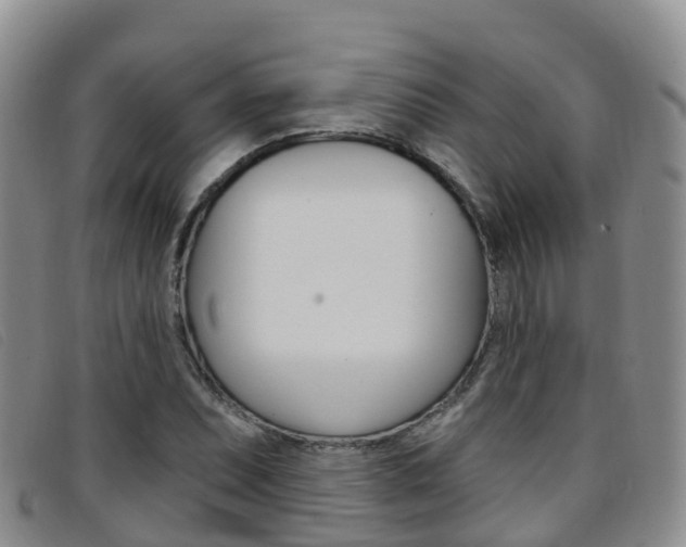 X0000096721071200802051055
