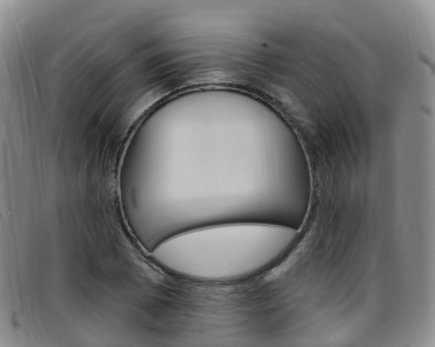 X0000096721073200802051055