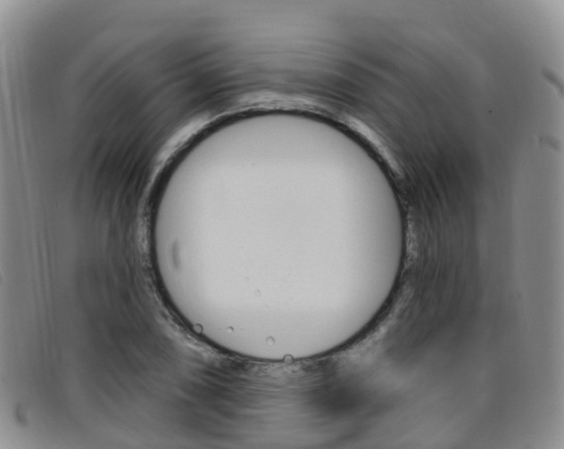 X0000096721074200802051055