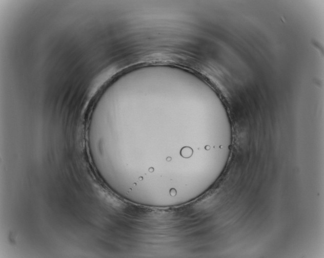 X0000096721075200802051055