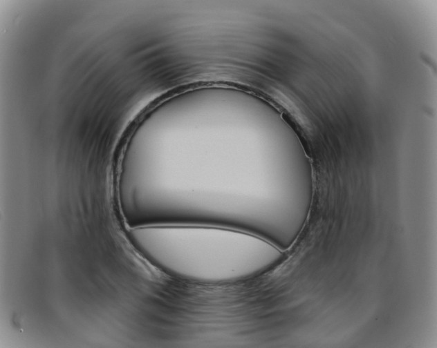 X0000096721076200802051055