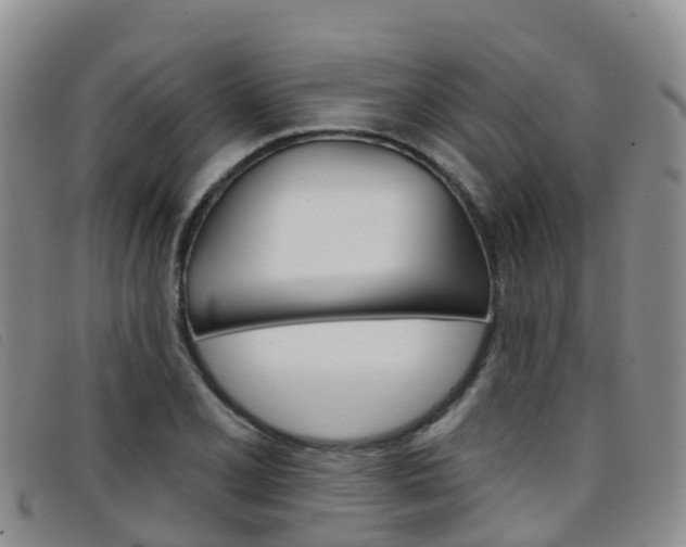 X0000096721077200802051055