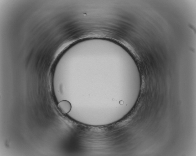 X0000096721078200802051055