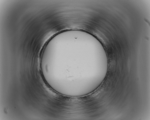 X0000096721079200802051055