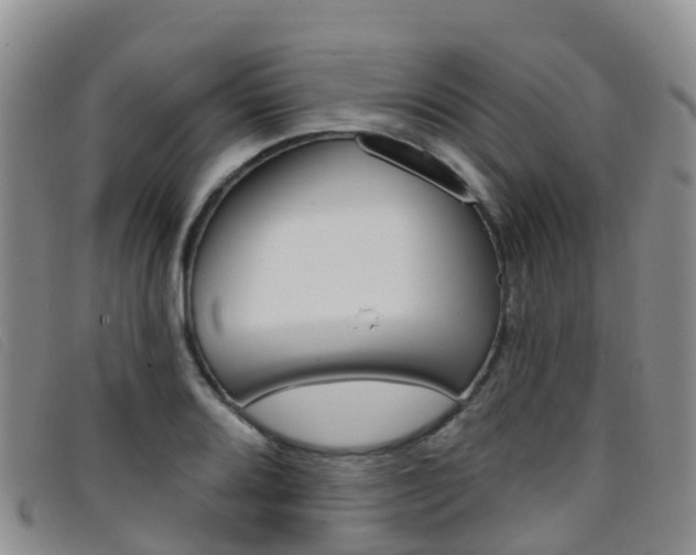 X0000096721080200802051055
